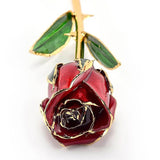 Real Rose Dipped In 24K Gold