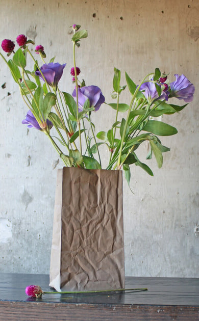 Ceramic Bag Vase – itsThoughtful