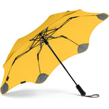 The Perfect Umbrella