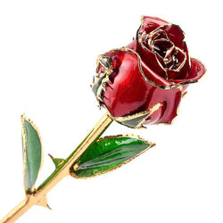 Real Rose Dipped In 24K Gold