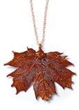 Real Sugar Maple Leaf Necklace