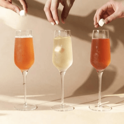 Instant Champagne/Mimosa Kit