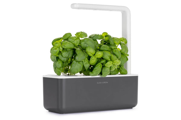 The Smart Garden